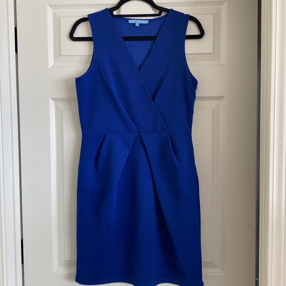 Antonio Melani Blue Dress